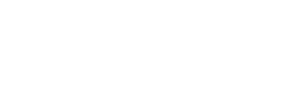 Silver Eagle Group